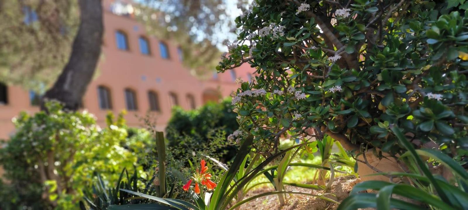 Albergue Rosa Molas Arrabal de Jesus Экстерьер фото